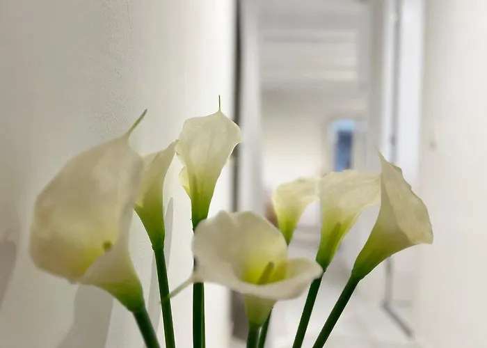White Διαμέρισμα