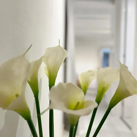 White Daire