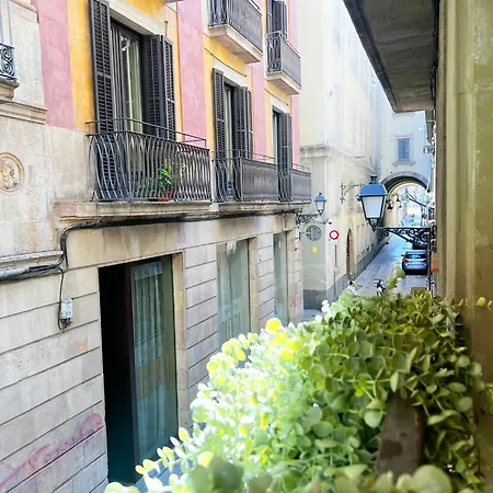 White * برشلونة